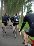 in de dreef